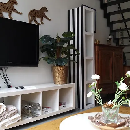 Apartment Wellness Loft With Sauna, Jacuzzi, Roof Terrace & Amazing View Antwerp