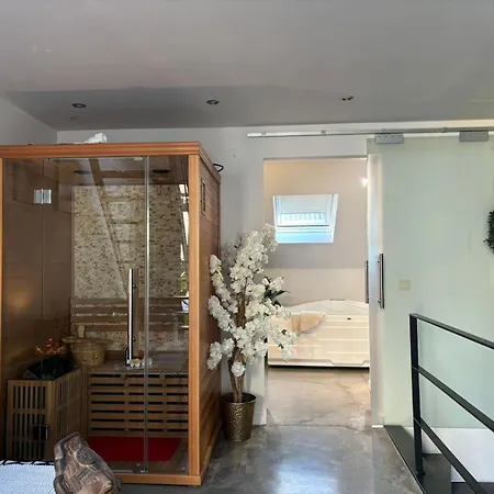 Wellness Loft With Sauna, Jacuzzi, Roof Terrace & Amazing View Apartment
