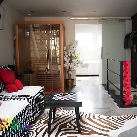 Wellness Loft With Sauna, Jacuzzi, Roof Terrace & Amazing View Apartment *