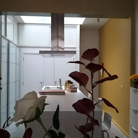Appartement Wellness Loft With Sauna, Jacuzzi, Roof Terrace & Amazing View